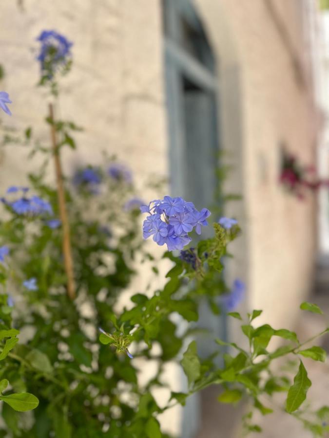 Villa Bianco Calce - Ostuni Exterior foto